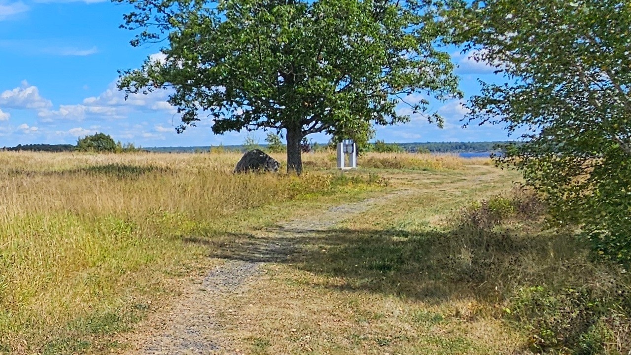 Newcastle Creek