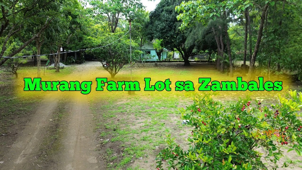 Panalo Ang Presyo Para sa Magandang Farm