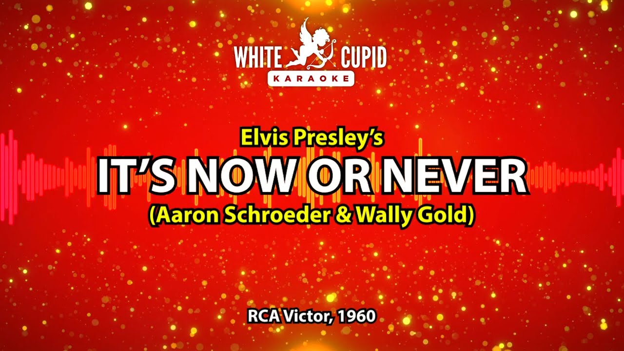 It's Now or Never Karaoke - Elvis Presley