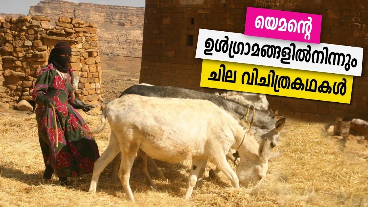 Sancharam | By Santhosh George Kulangara | Yemen 12 | Safari TV
