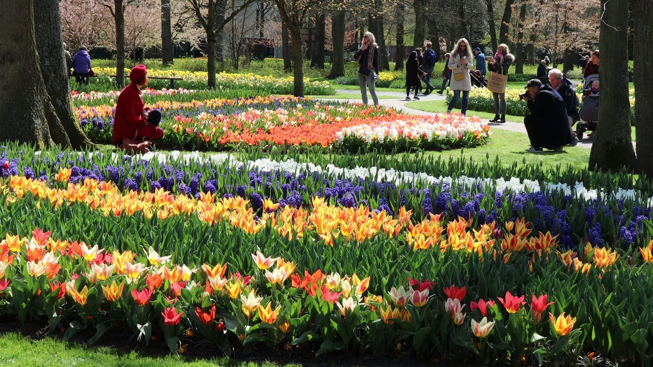 Keukenhof 2021 - Spring has come - 4K
