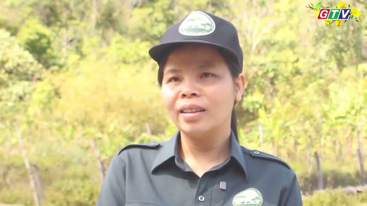 Ở lại rừng đón tết