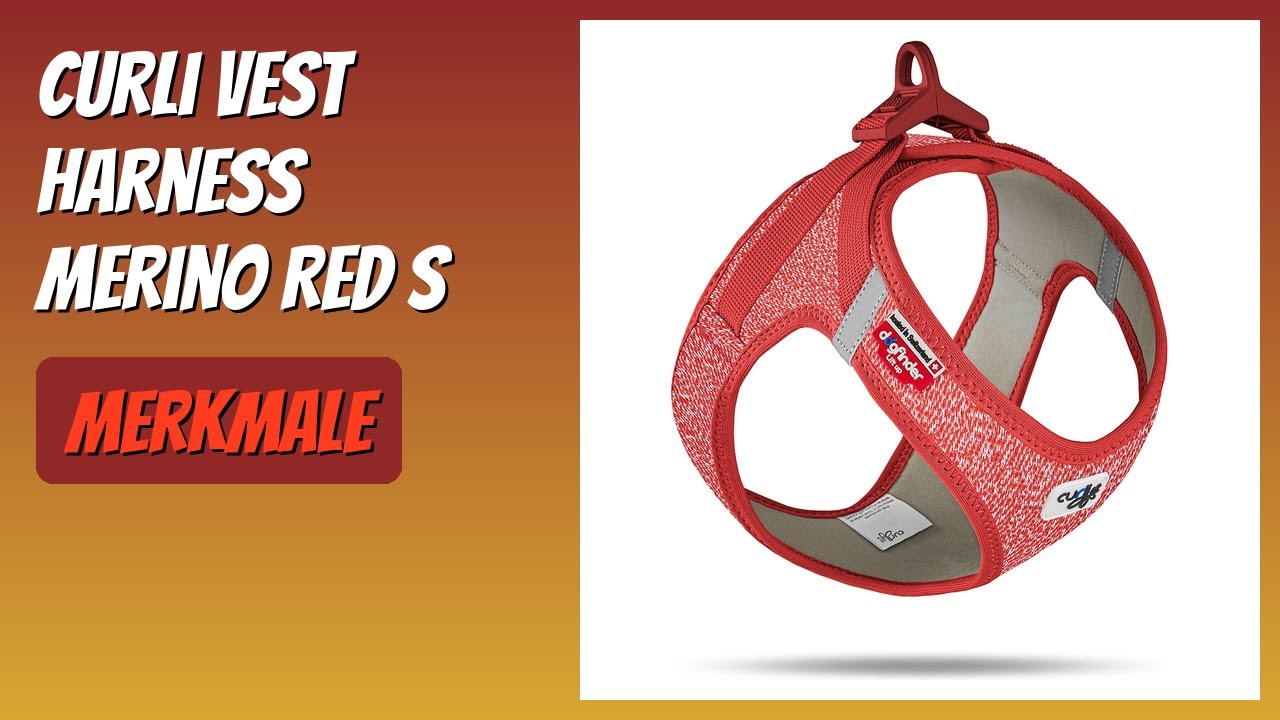 BEWERTUNG (2026): Curli Vest Harness Merino Red S. Infos