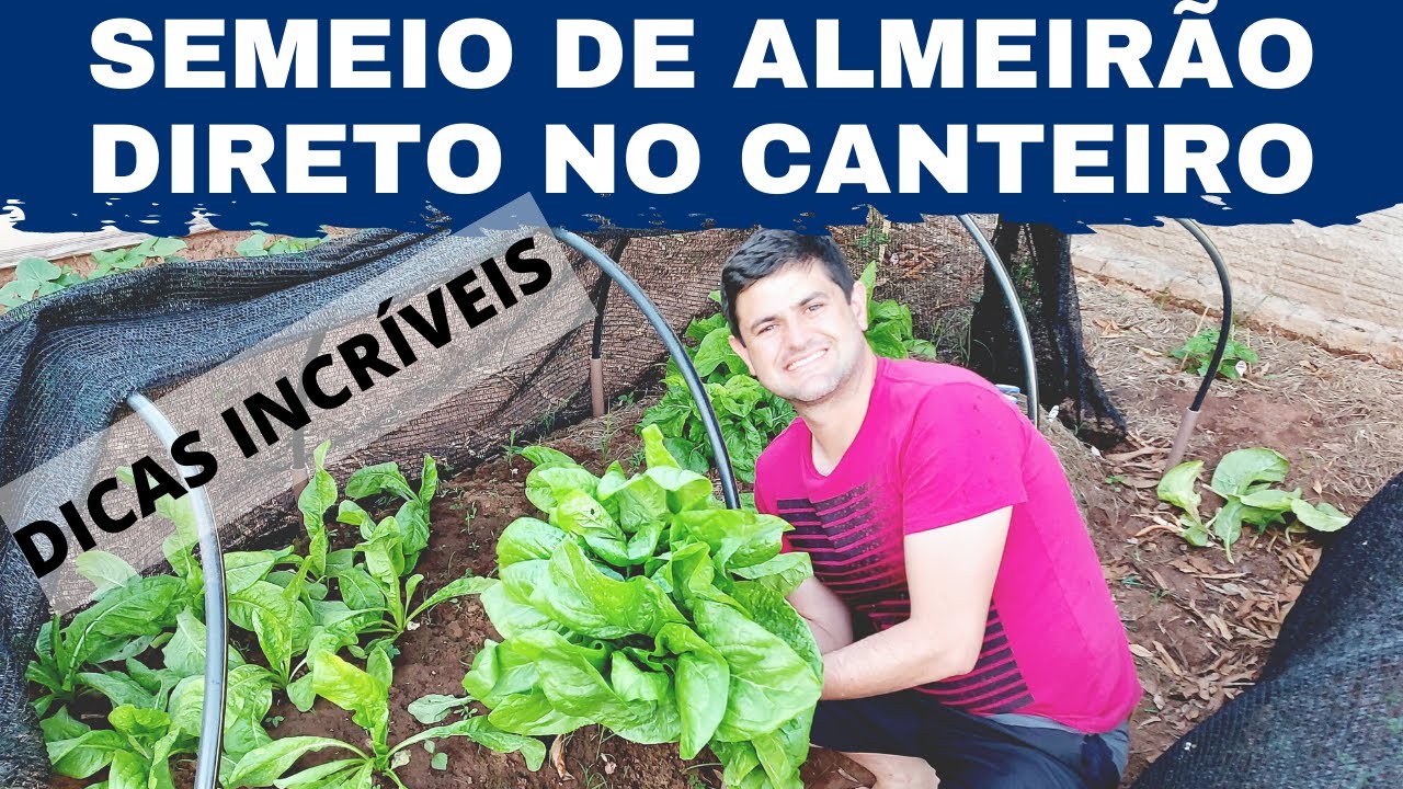 SEMEIO DIRETO DE ALMEIRÃO NO CANTEIRO. SERÁ QUE DEU CERTO? DICAS DE CULTIVO ORG NICO (Ep160)