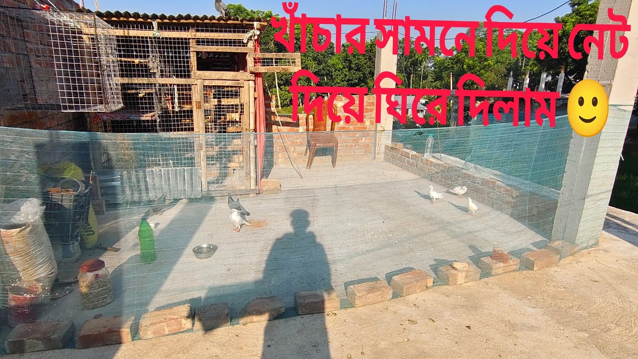 খাঁচার সামনে দিয়ে নেট দিয়ে পুরো টা ঘিরে দিলাম ❤️🙂 23/10/2025॥