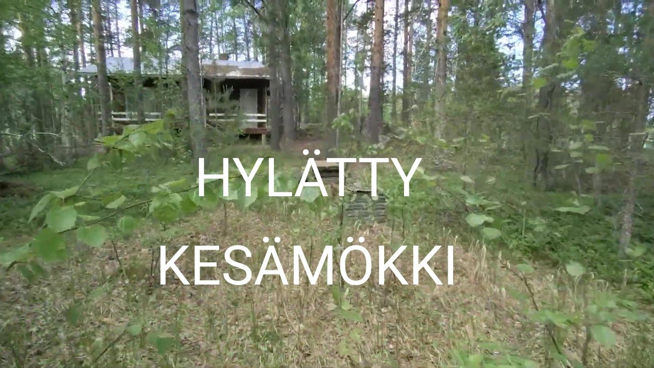 Autio hylätty kesämökki. Miksi?
