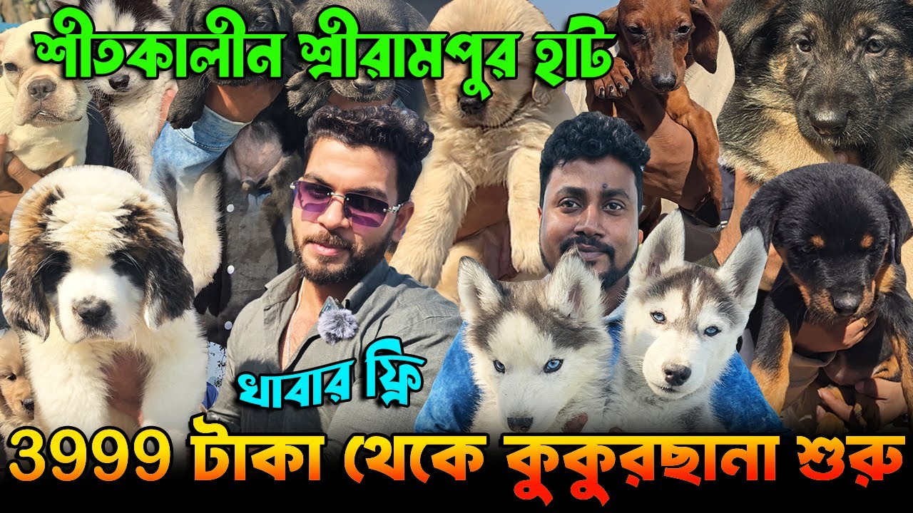 Shocking Truth About Kolkata’s Dog Market Price । Dog Market in Kolkata