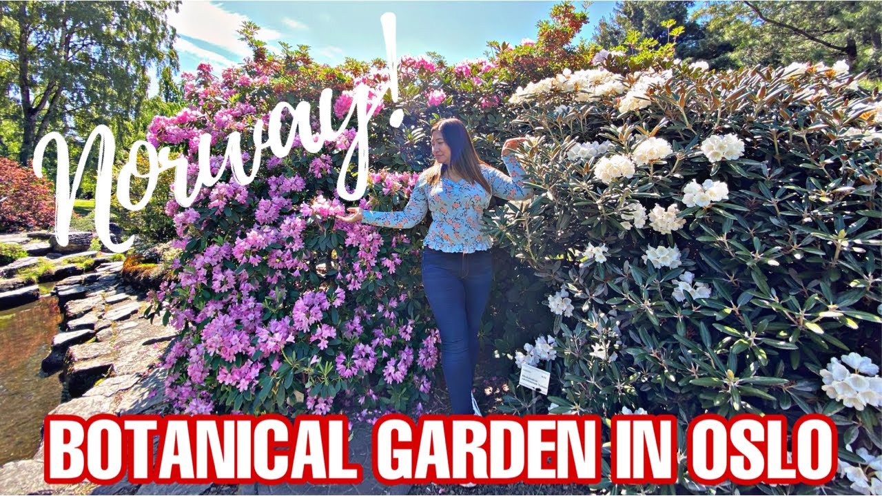 BOTANICAL GARDEN IN OSLO NORWAY!