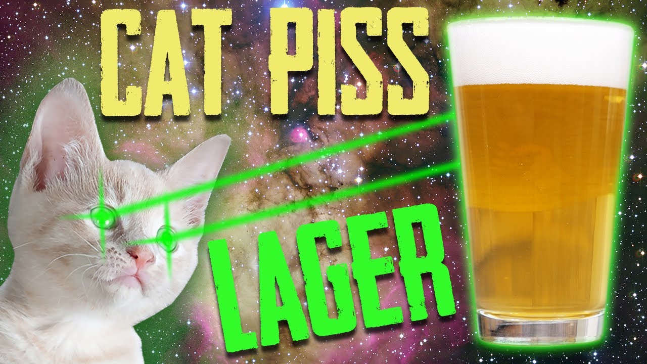 How to Brew A Hoppy Lager Beer