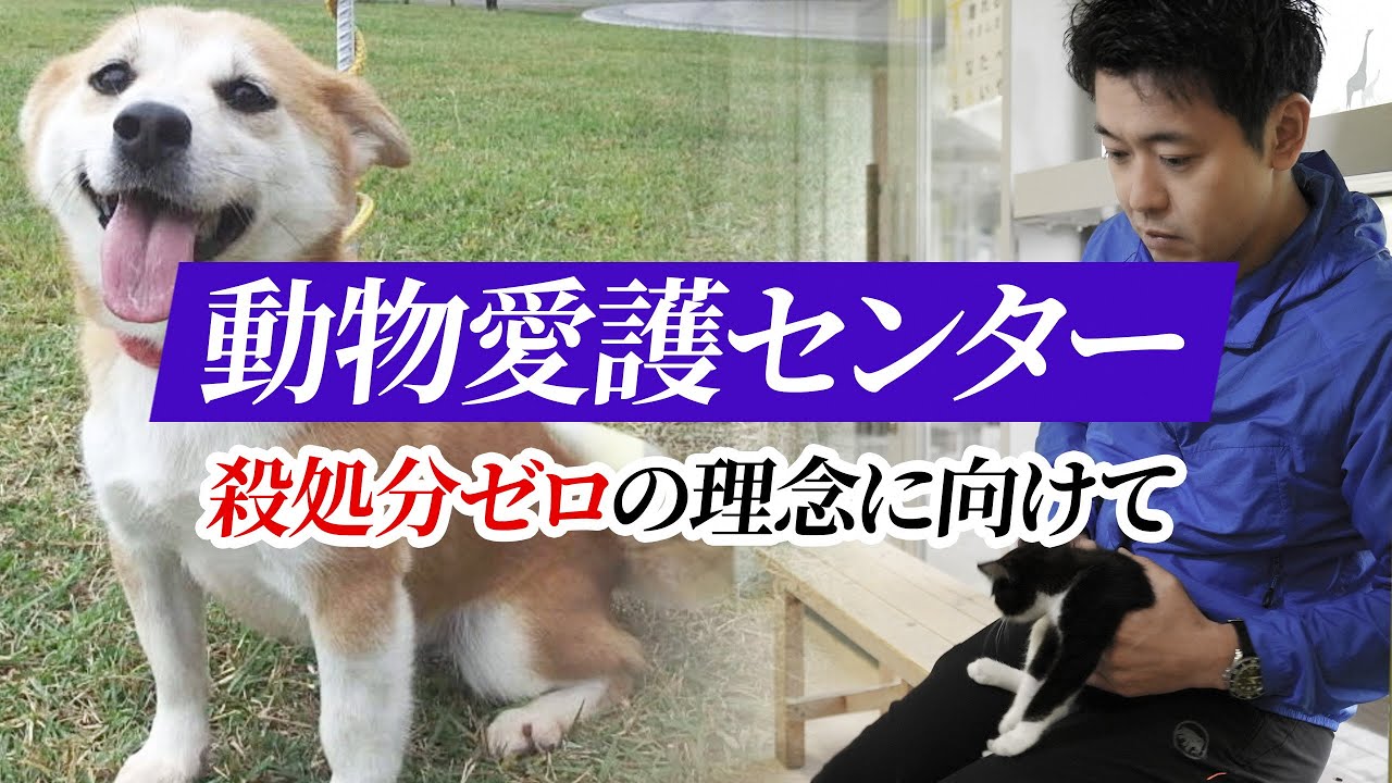 #8 動物と楽しく暮らせる青森県に。動物愛護センターを視察しました。青森県知事宮下宗一郎