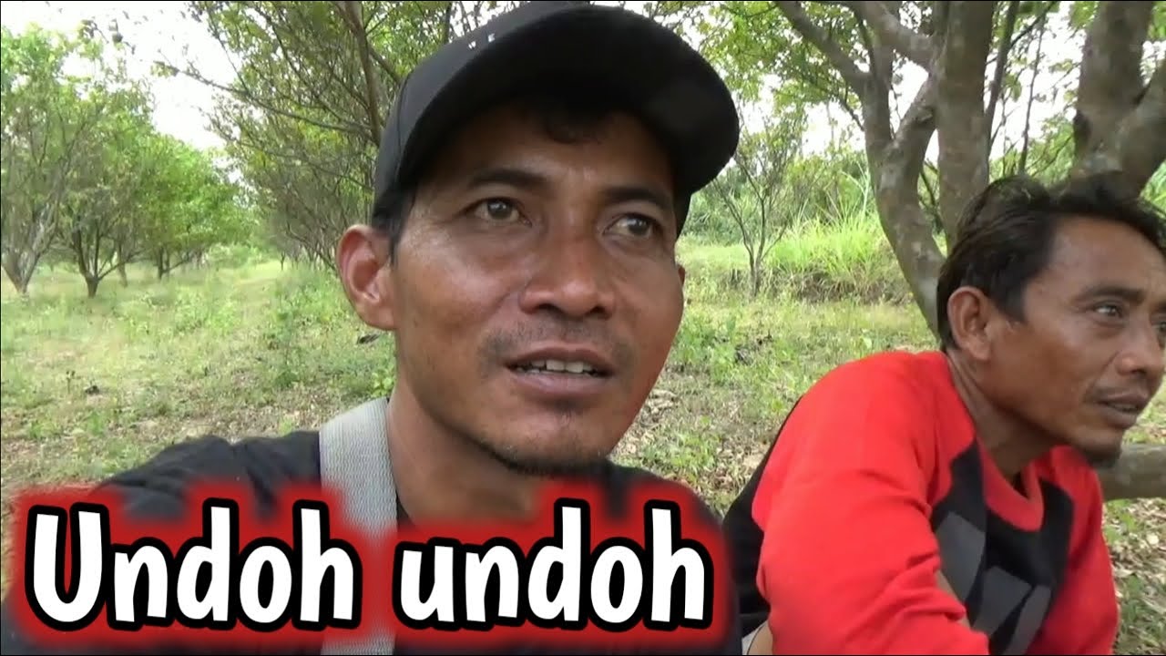 KANDANANE ANGEL @perkututChanelku