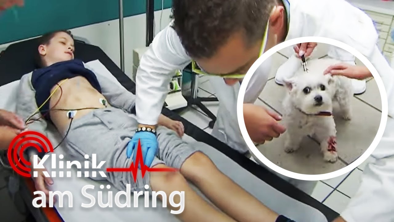 Schock in der Notaufnahme: Jona (10) & sein Hund wurden vom Auto angefahren! | Klinik am Südring