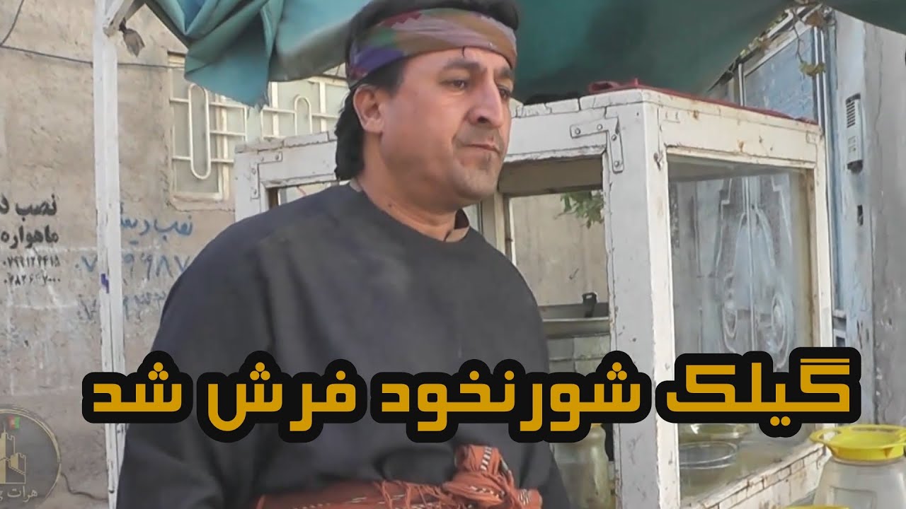 گیلک شورنخود فروش شد
