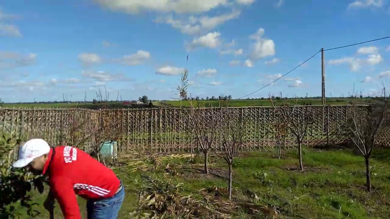 الباديةالغزالة مع عبدالاله من منطقة زعير