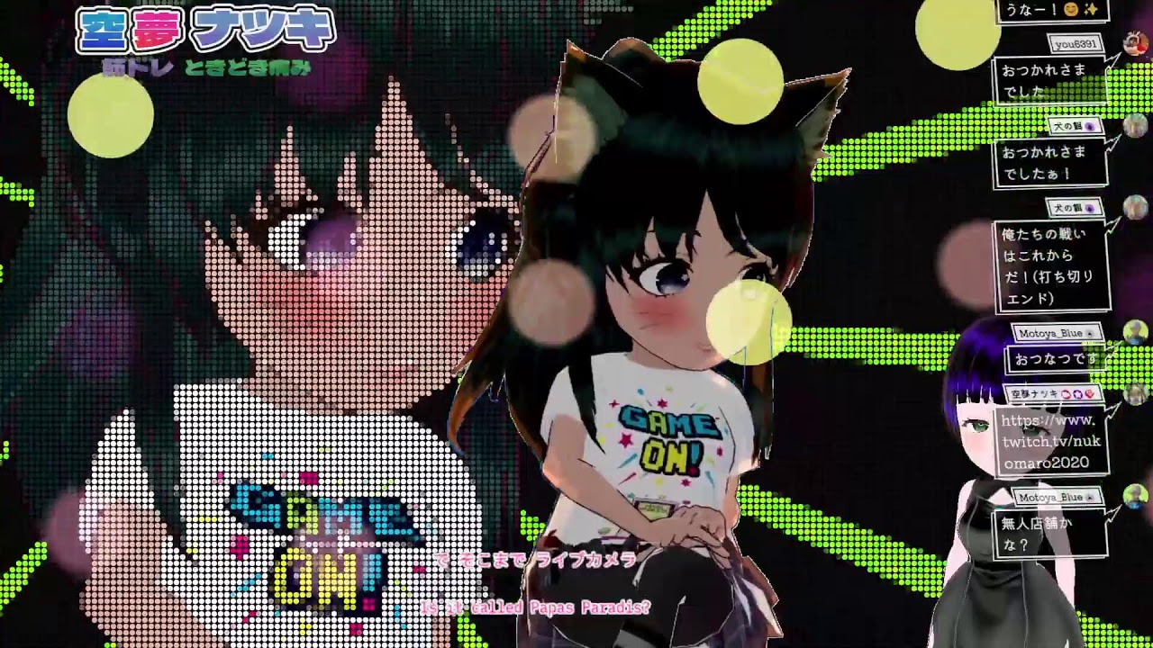 群馬に族に行った【100 Funny Cats】