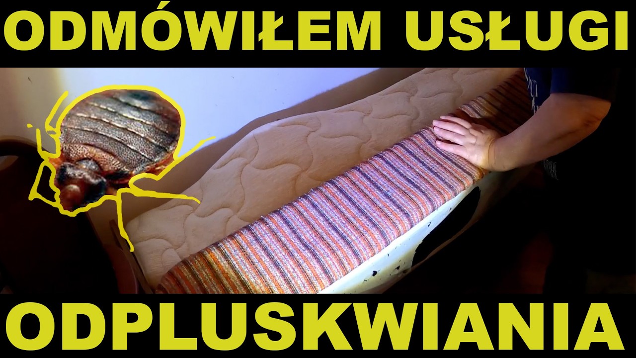 KOLEJNE ZAPLUSKWIONE MIESZKANIE - jak pozbyć się pluskiew - pluskwa domowa  - sposób na pluskwy