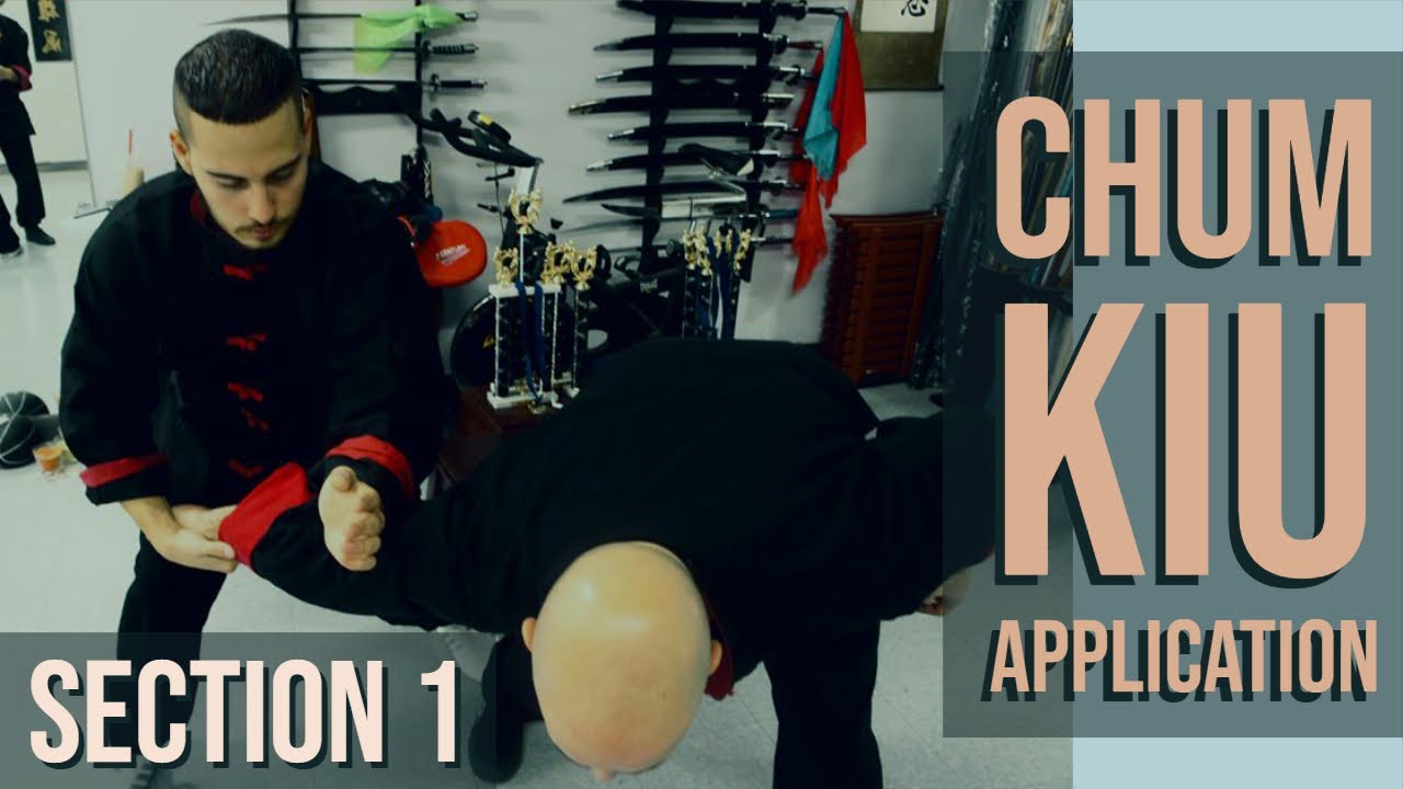 Подробное описание применения Chum Kiu — Часть 01