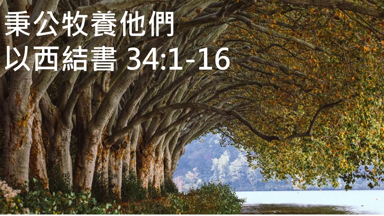 秉公牧養他們