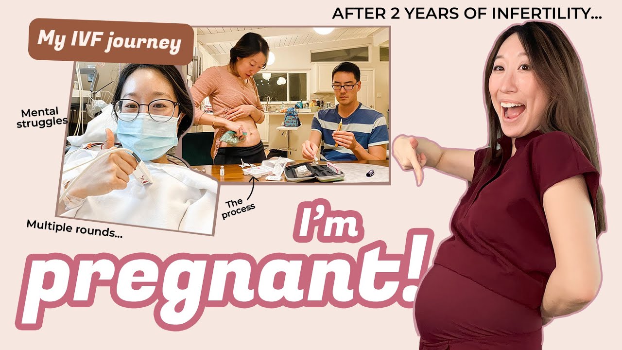 My IVF Journey - 2 Years of Egg Retrievals, IUI, Embryo Transfers