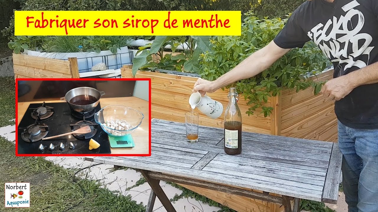 🥃 Fabriquer son sirop de menthe