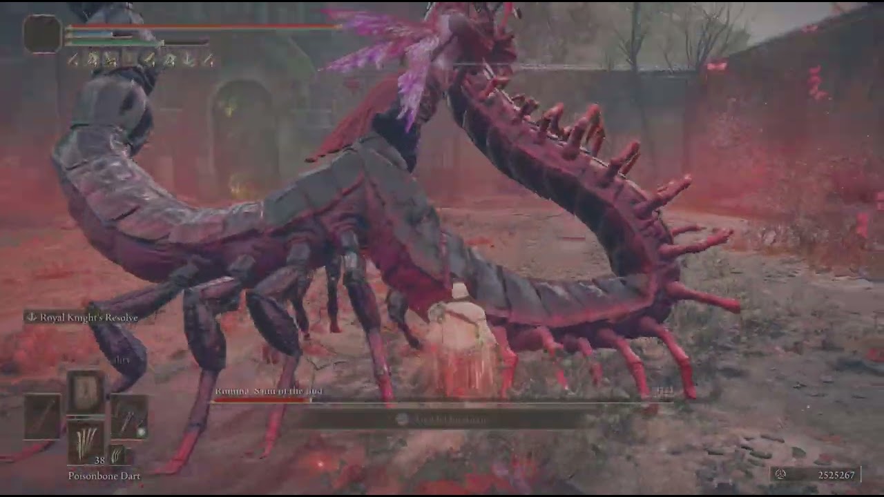 Axes 24 arc (Romina) no hit