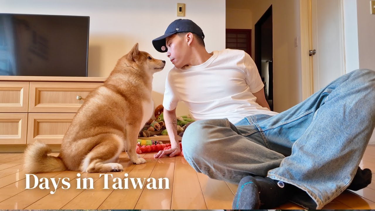 TAIWAN VLOG 🇹🇼｜回家的快樂真的不一樣 🏠 帶 ABC 吃阜杭豆漿 高雄秘密早餐 🍳 逆時針初體驗