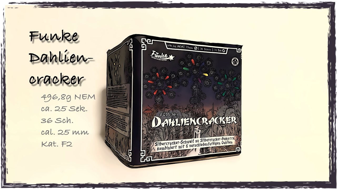 Funke Dahliencracker | 4K HDR
