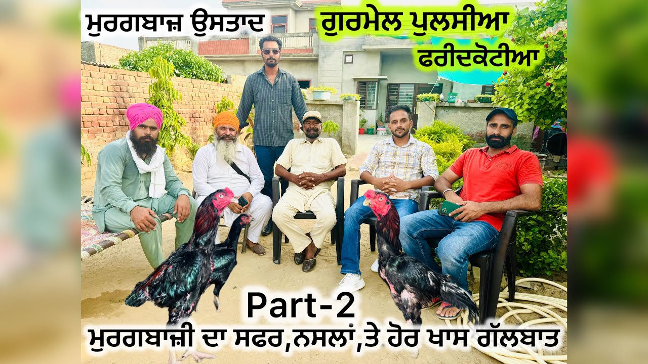 Murgbazz Ustaad gurmail faridkotia interview part 2(ਮੁਰਗਬਾਜ਼ ਉਸਤਾਦ ਗੁਰਮੇਲ ਫਰੀਦਕੋਟੀਆ) ਖ਼ਾਸ ਗੱਲਬਾਤ