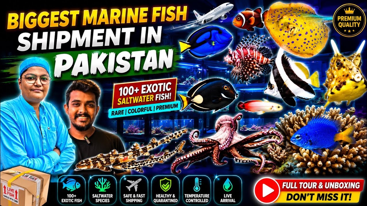 Biggest Marine Fish Shipment in Pakistan 🇵🇰 | Rare Exotic Species Unboxing! [ Aquatic house ] KHI