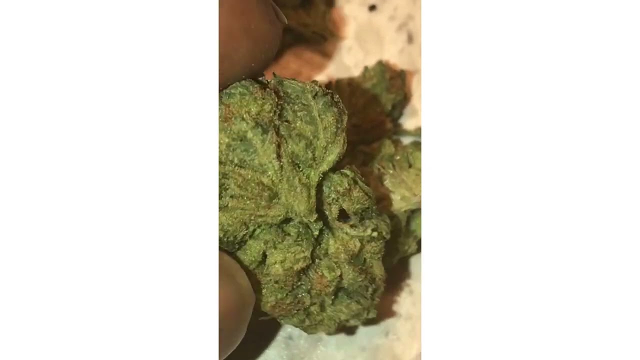 Chem Kush Strain Review ( Smk Brk 420 )