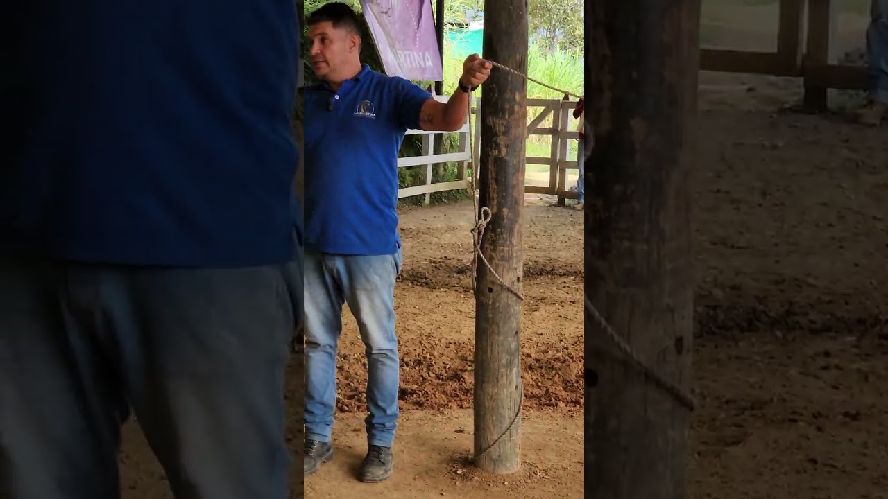 Aprendiendo a dar torno a un caballo