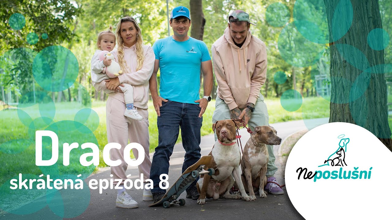 NEPOSLUŠNÍ (SKRÁTENÉ ČASTI): Neposlušný Draco, ktorý nerešpektuje svojich pánov