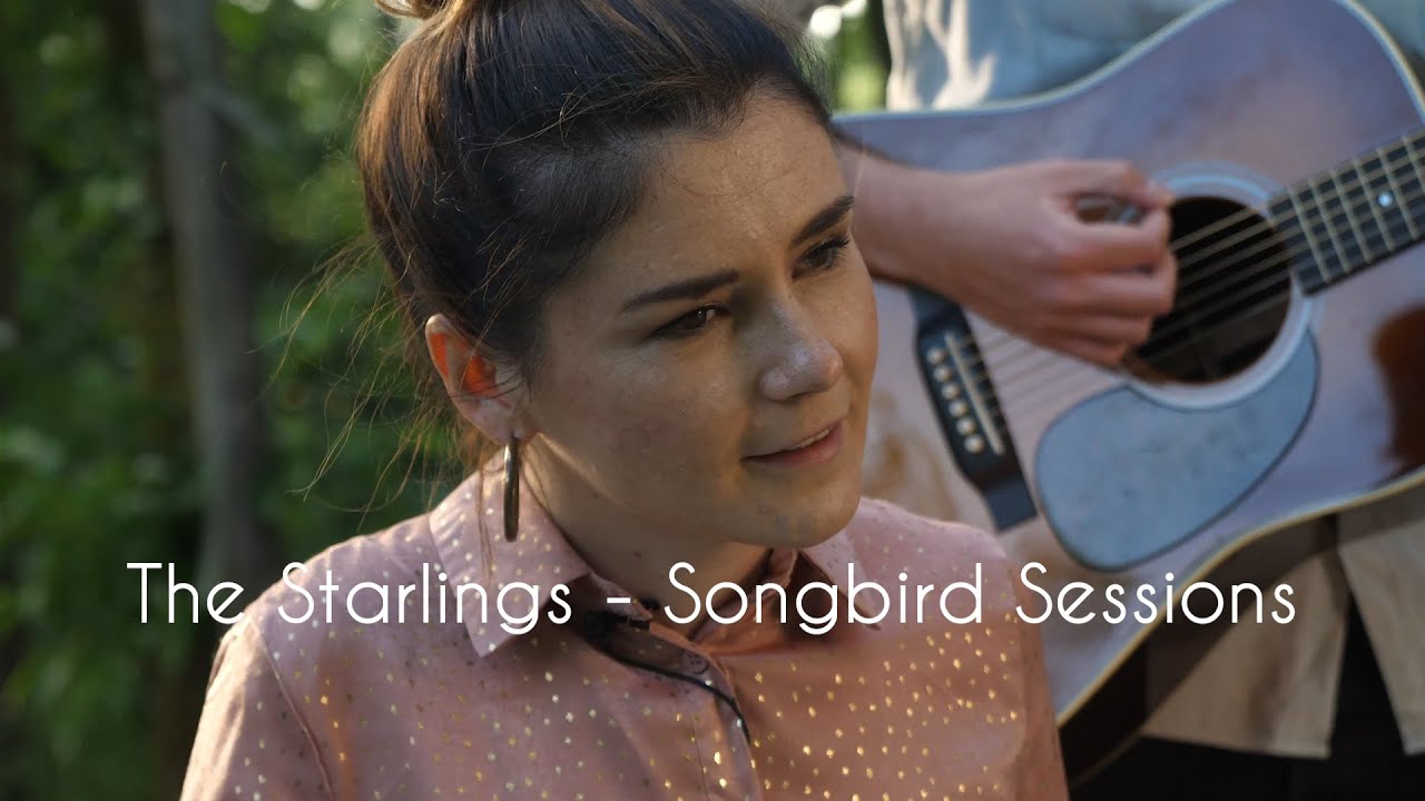 The Starlings - Songbird Session IV