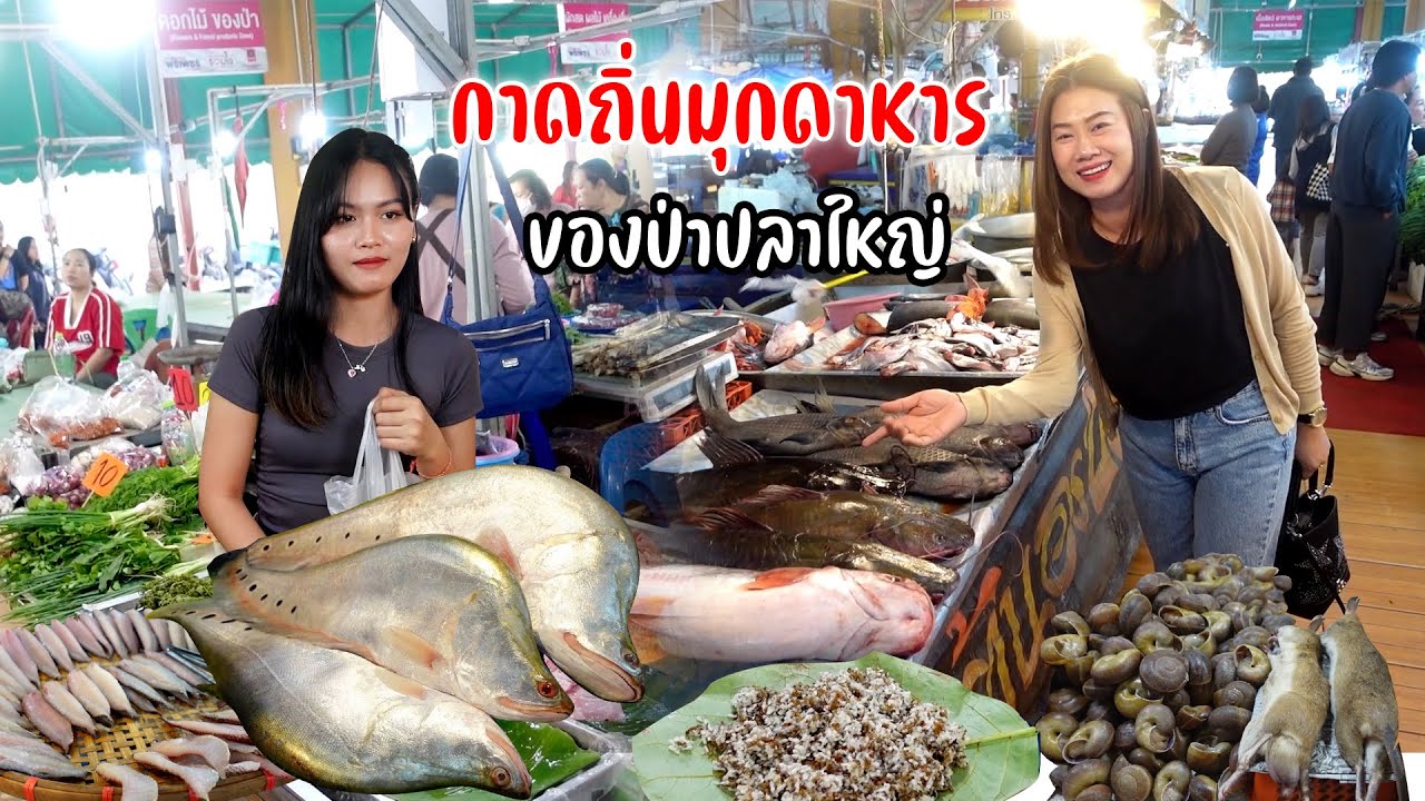 แหล่งอาหารป่าธรรมชาติปลาน้ำโขง ไข่มดแดง หนู หวาย ตลาดพรเพชร จ.มุกดาหาร #อีสานหนาวอีหลี Ep.9