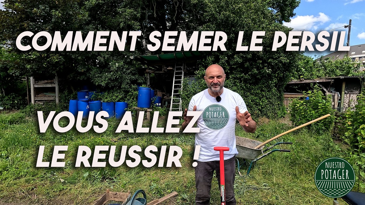 Comment semer le Persil. Réussite garantie !