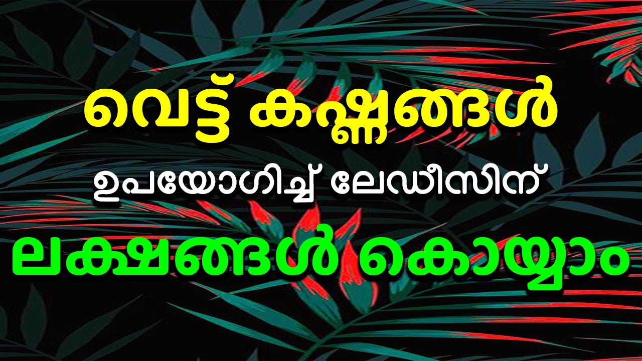 വെട്ട് കഷ്ണങ്ങൾഉപയോഗിച്ച് ലേഡീസിന് ലക്ഷങ്ങൾ കൊയ്യാം