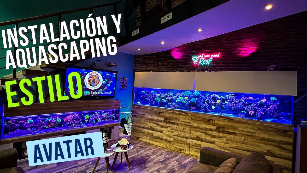 Cómo se instaló esta pecera Marina con AQUASCAPING AL ESTILO AVATAR