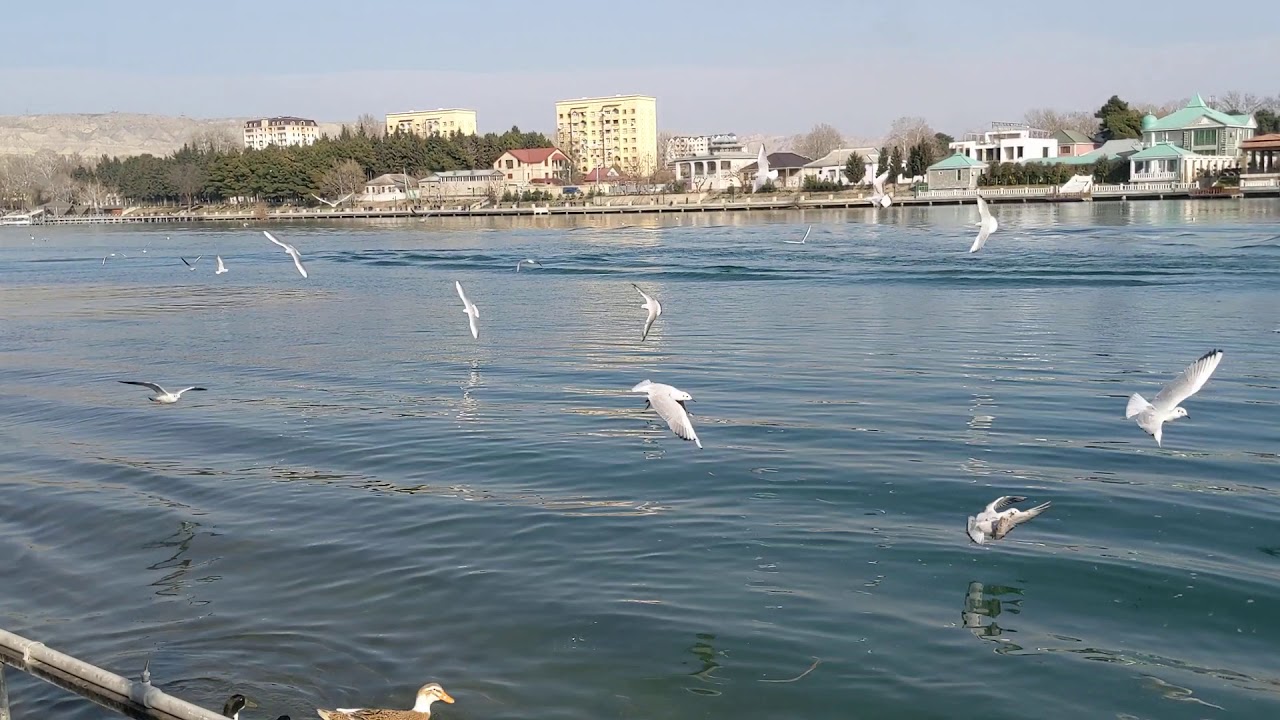 Mingecevir, Kur cayi #trending #azerbaycan #travel #video #tiktok #reels #shorts