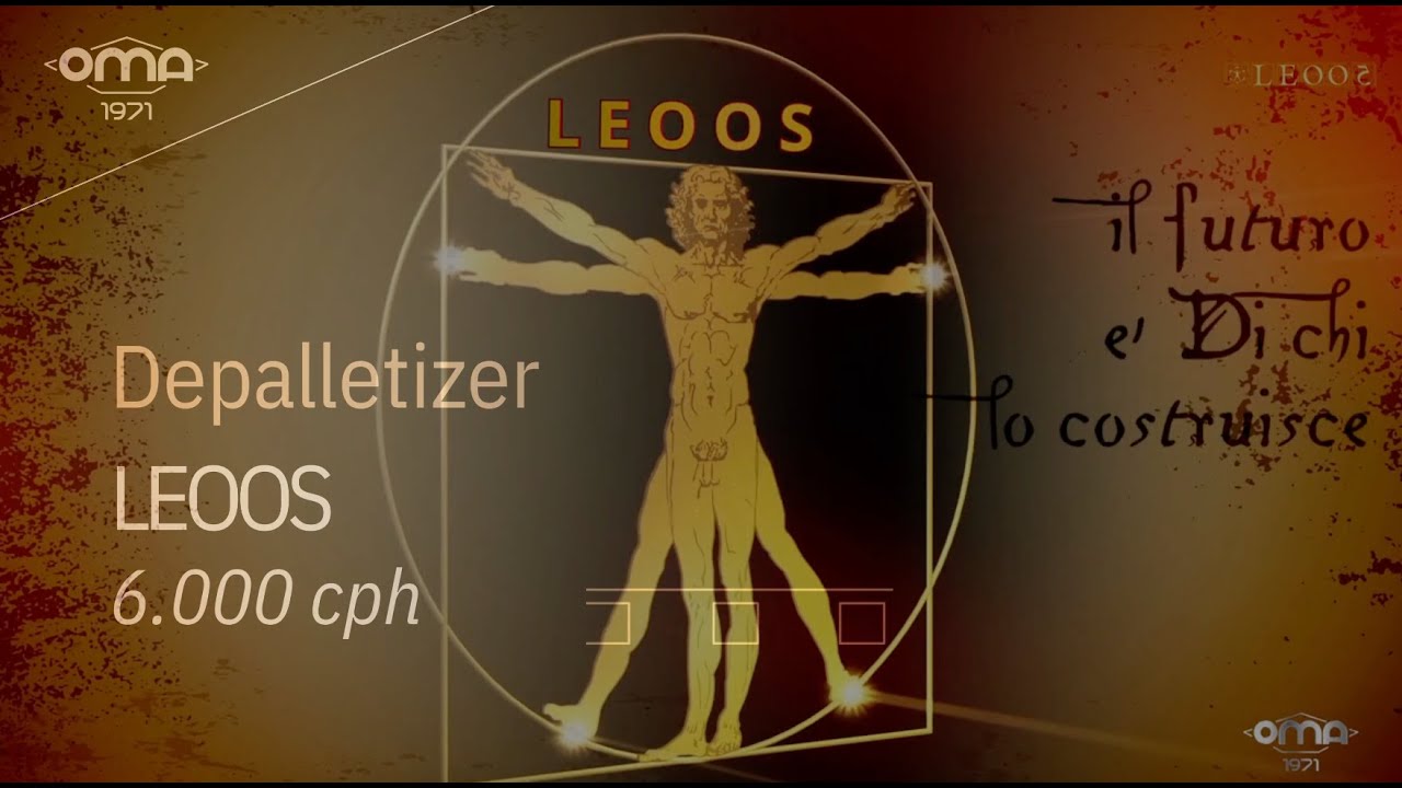 Depalletizer  LEOOS
