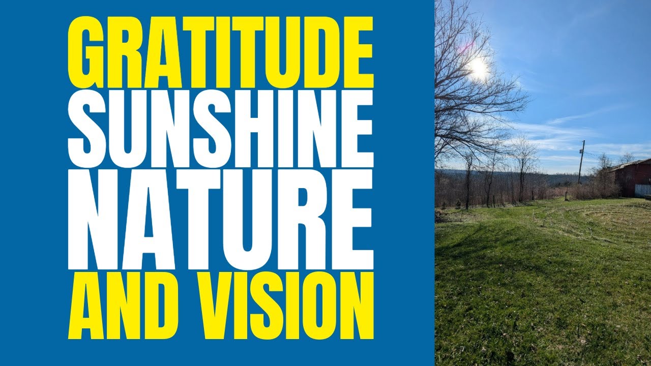 Gratitude, Sunshine, Nature, And Vision #mindfulness #nature #gratitude