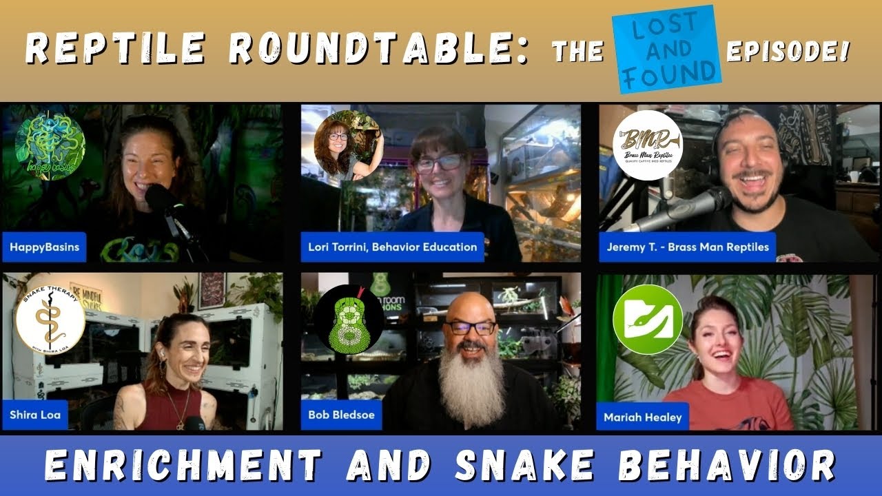 Snake Behavior and Enrichment: Advice From The Reptile Roundtable