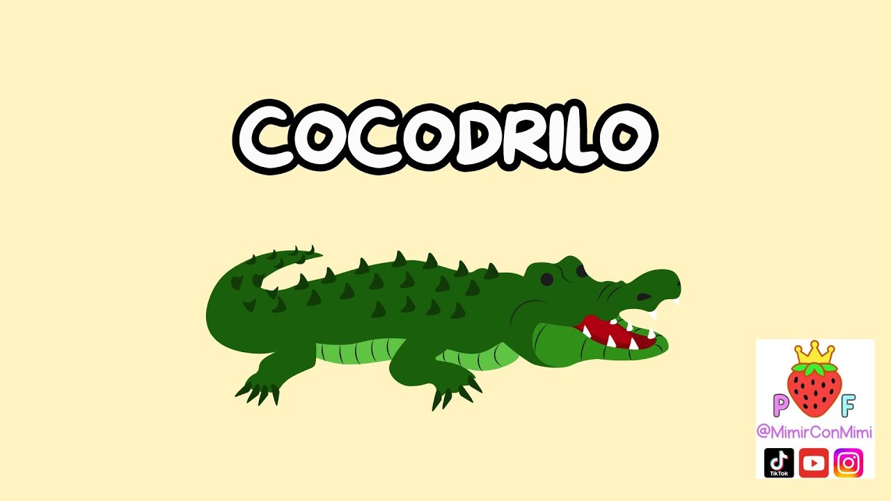 Cuentos cantados - COCODRILO