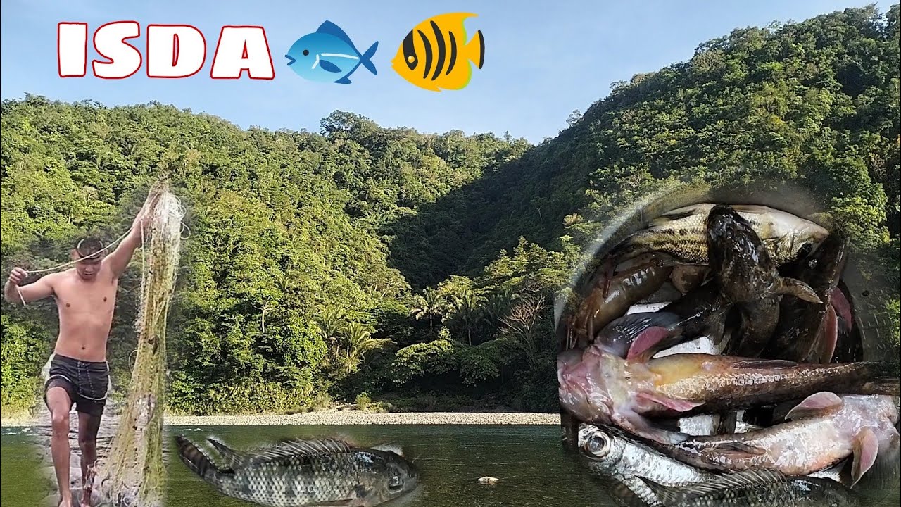 NAG DALA KAMI NG DARAK SA NAKAR 