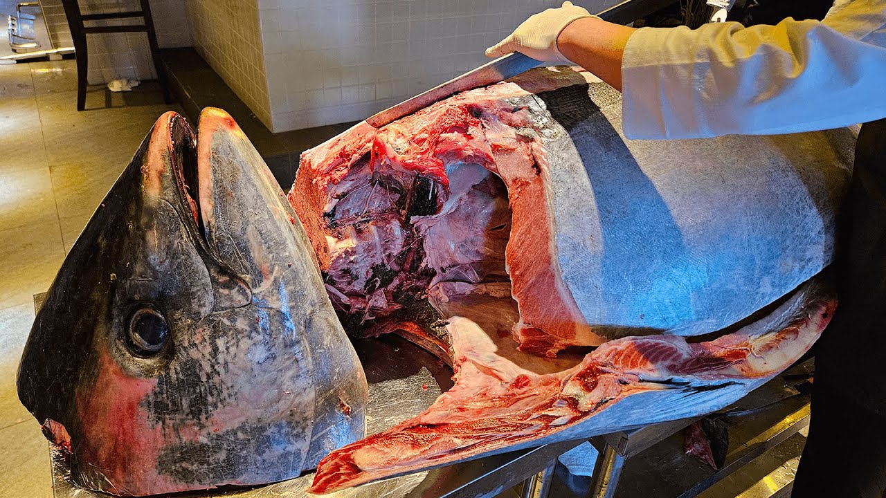 부산에서 갓 잡아온 160KG 짜리 초대형 생참치 해체 4K