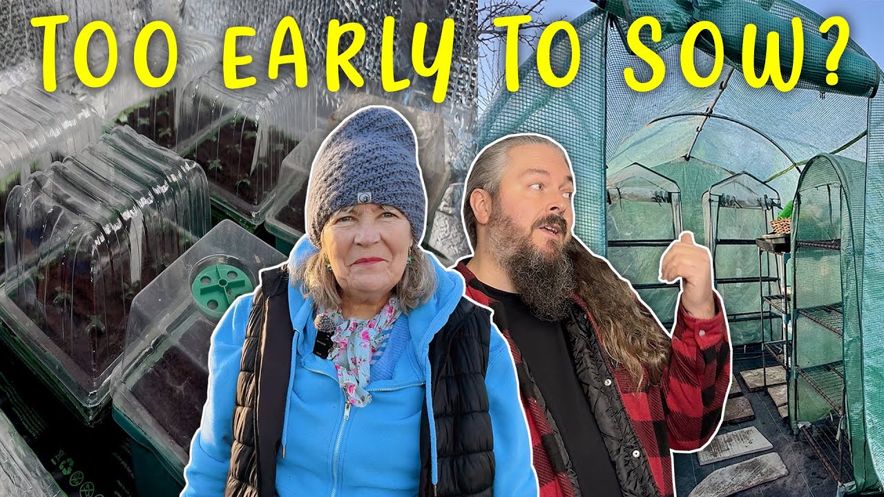 Не слишком ли рано сажать эти овощи на дачном участке? | Садоводство на дачных участках в Великоб...