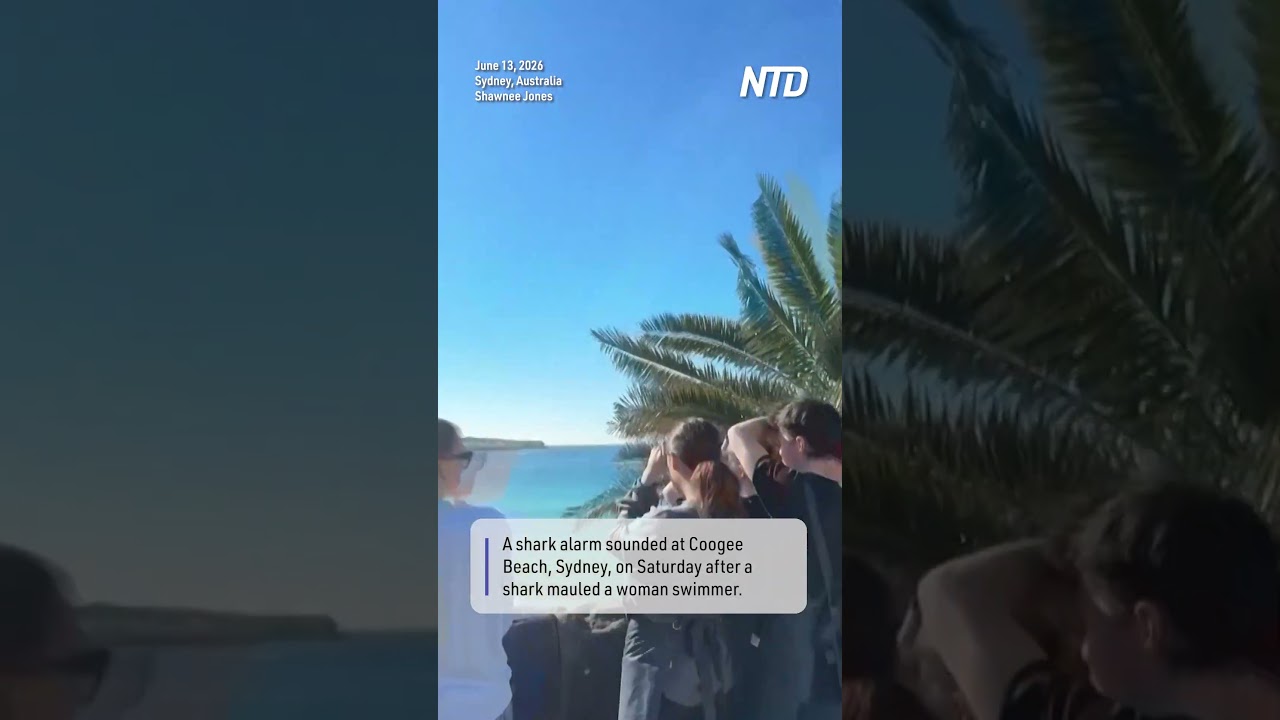 Shark Alarm Sounds at Sydney Beach After Woman Seriously Mauled