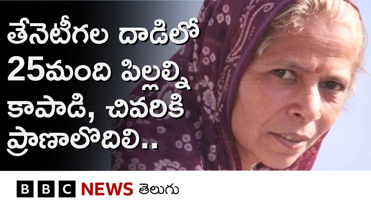'ఆమె ఒంటిపై లెక్కలేనన్ని తేనెటీగల ముళ్లున్నాయి'..honey bees దాడి నుంచి పిల్లల్ని కాపాడే ప్రయత్నంలో..