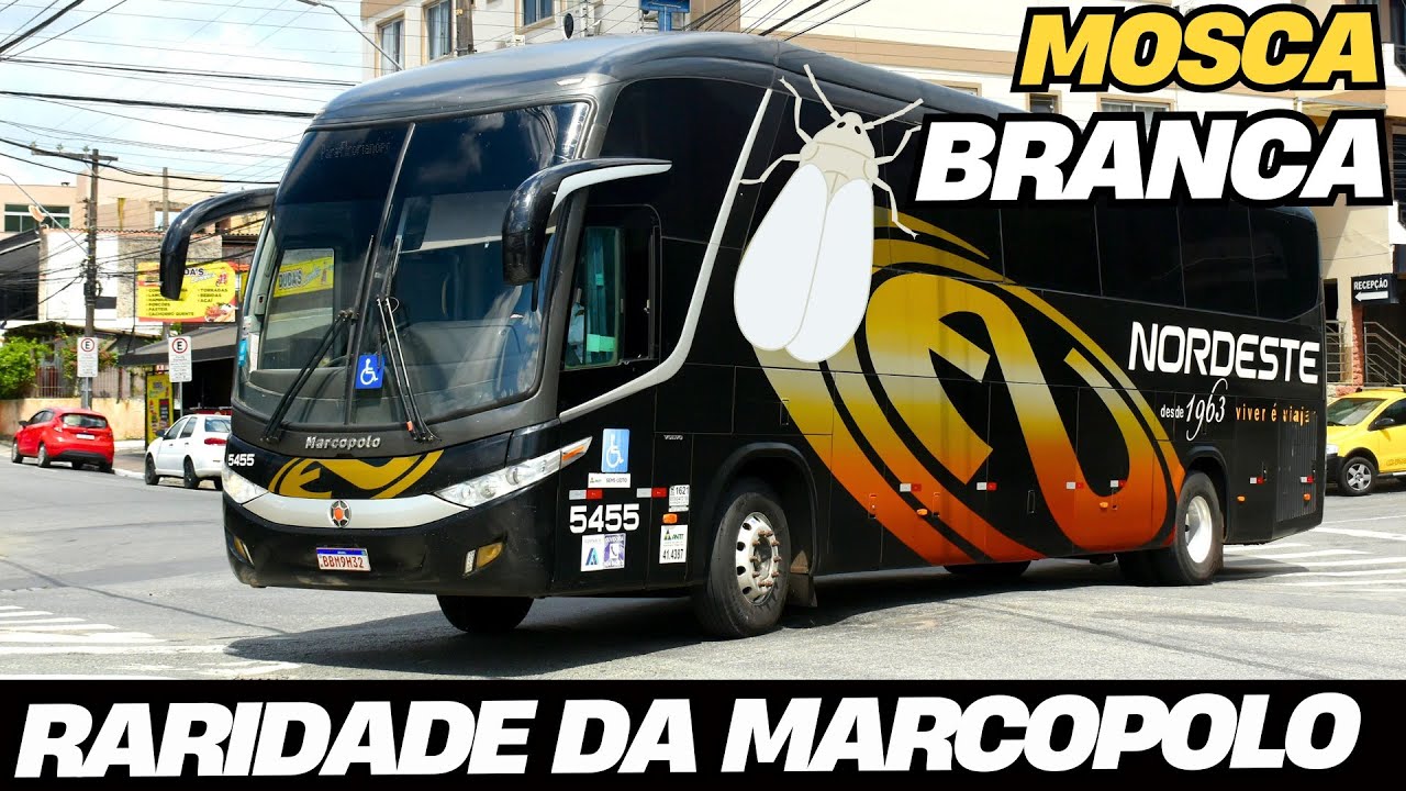 APENAS 10 UNIDADES PRODUZIDAS NO BRASIL😱 OS RAROS MARCOPOLO G7 1350 SEMI LEITO EXPRESSO NORDESTE