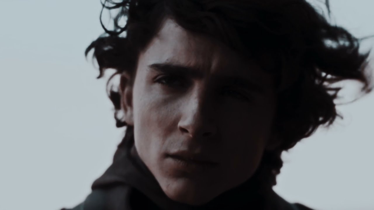 reylo child | caelum.