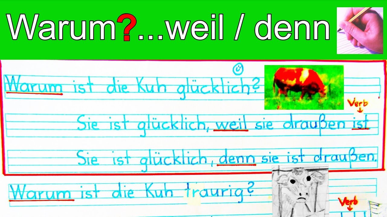 Warum? - weil / denn - Fragen und Antworten -  Grammatik A1 - A2 - Tierschutz - Vegetarisch leben